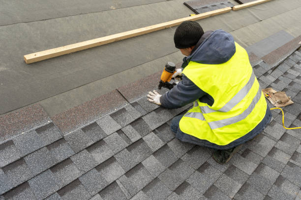 Best Rubber Roofing (EPDM, TPO)  in Lanett, AL